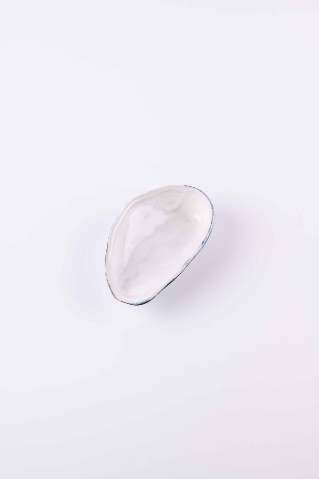 Ocean Mist Collection (Oyster Shape)